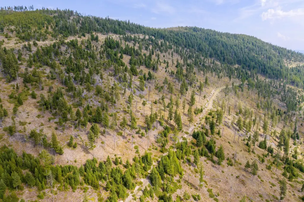 Picture 39