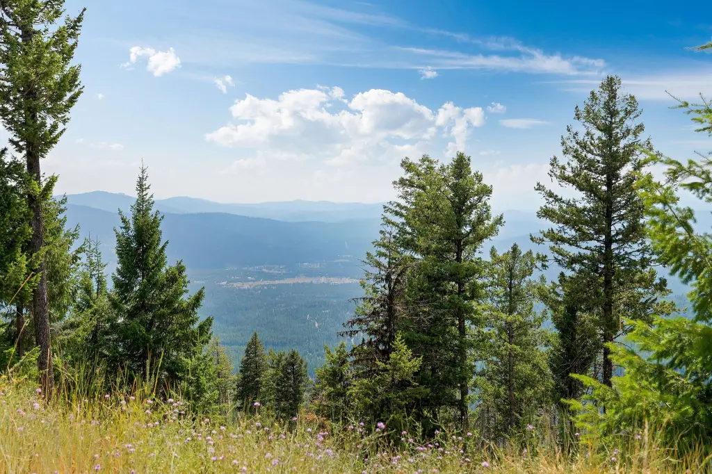 Picture 30