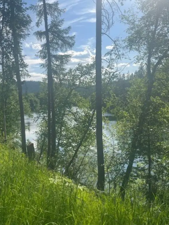 Picture 23