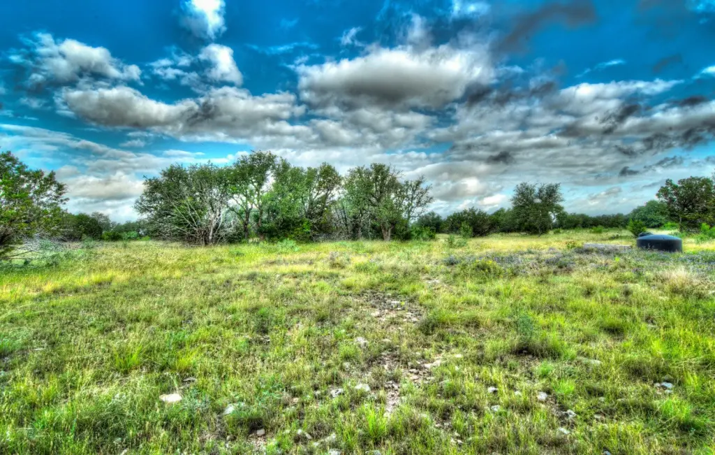 Picture 33