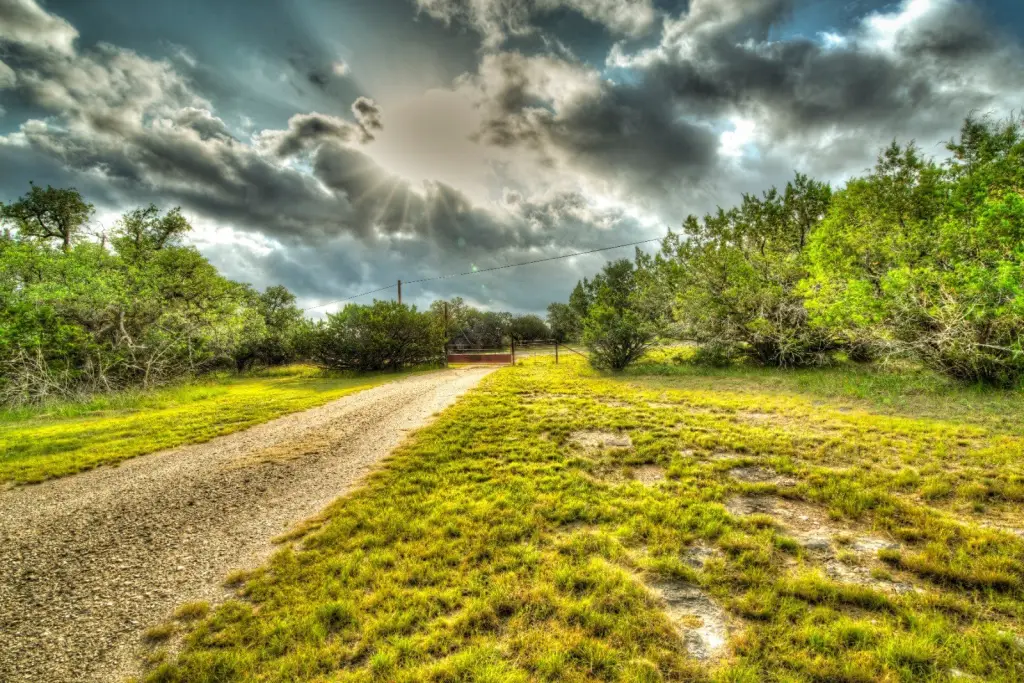 Picture 39
