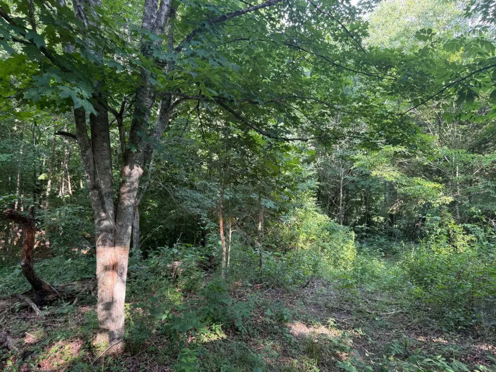 Picture 24