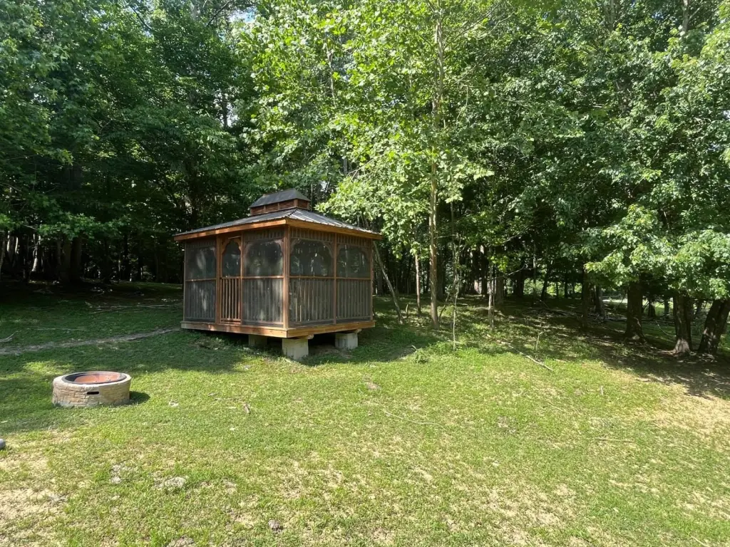 Picture 10