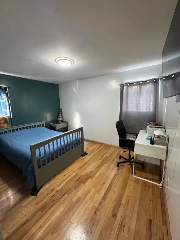Picture 5
