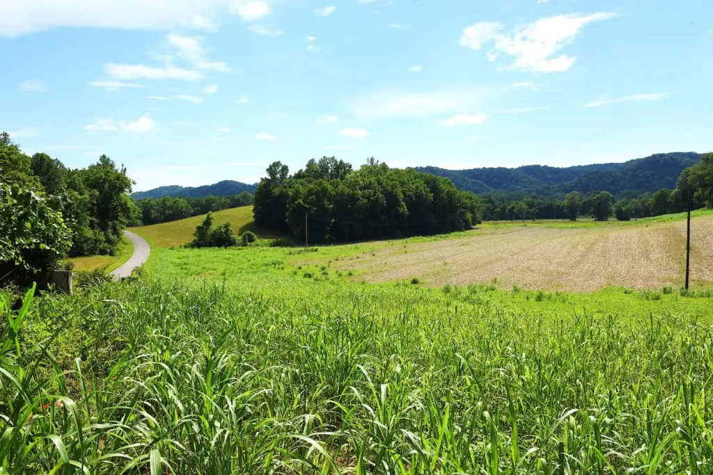 Picture 9