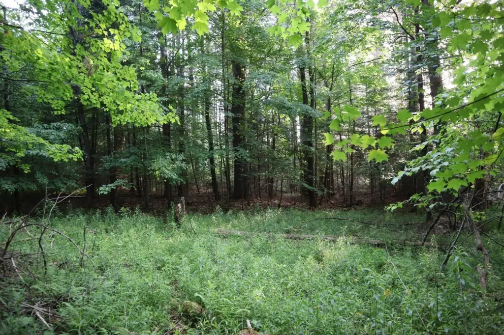 Picture 23