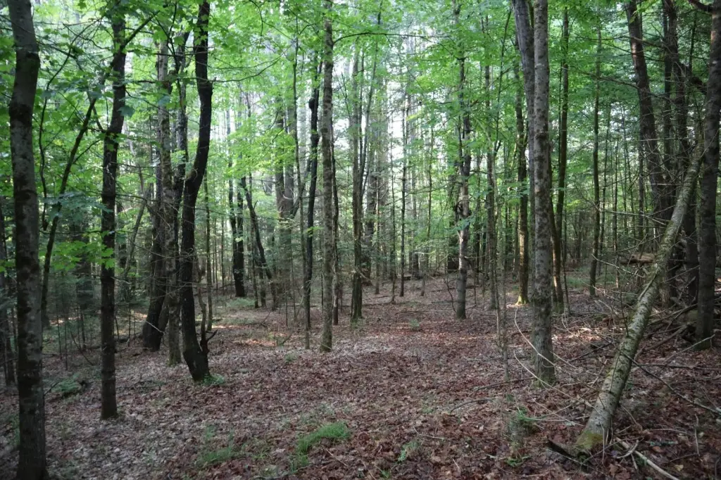 Picture 32