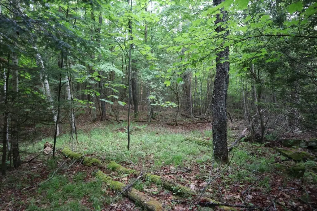 Picture 46