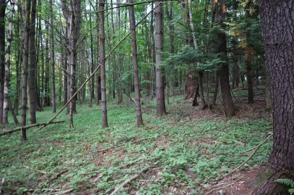Picture 9