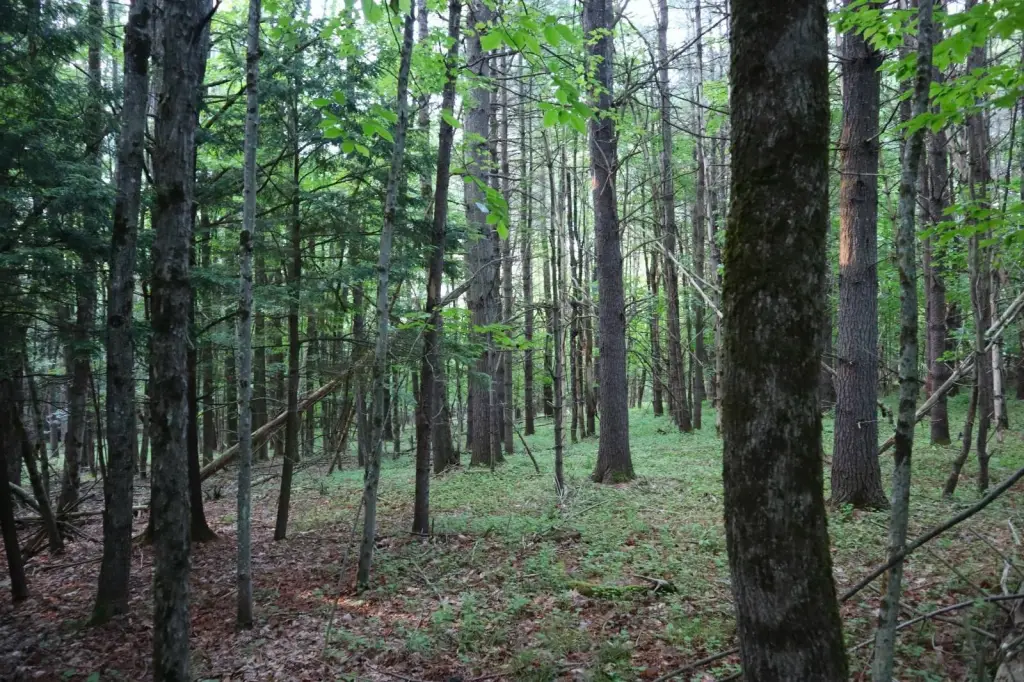 Picture 11