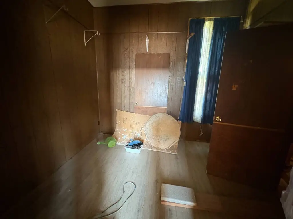 Picture 5