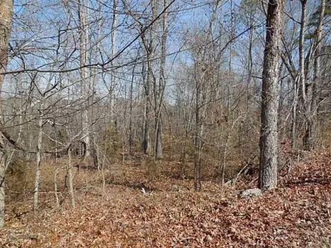Wooded Lot in Rome, GA