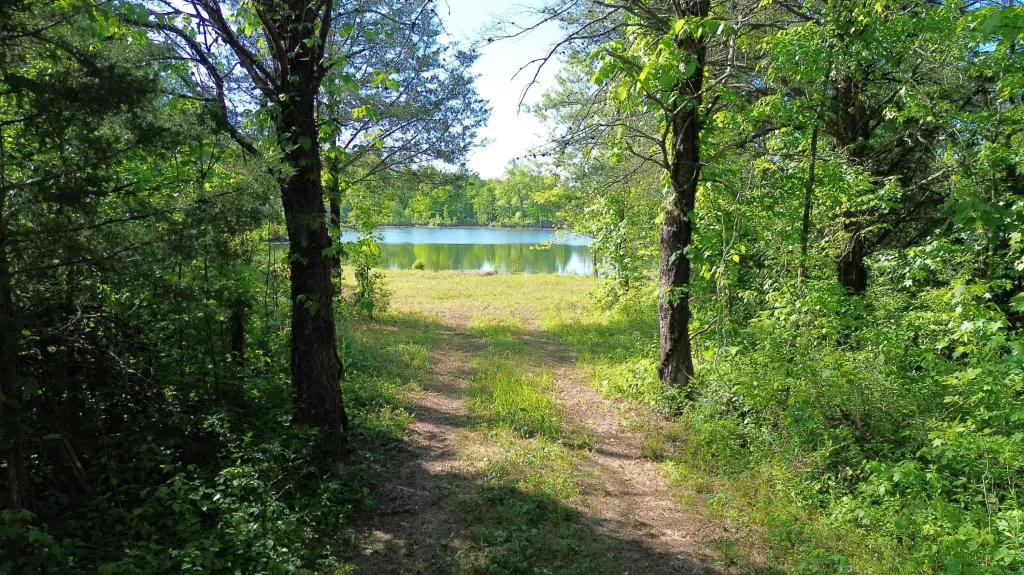 Picture 12
