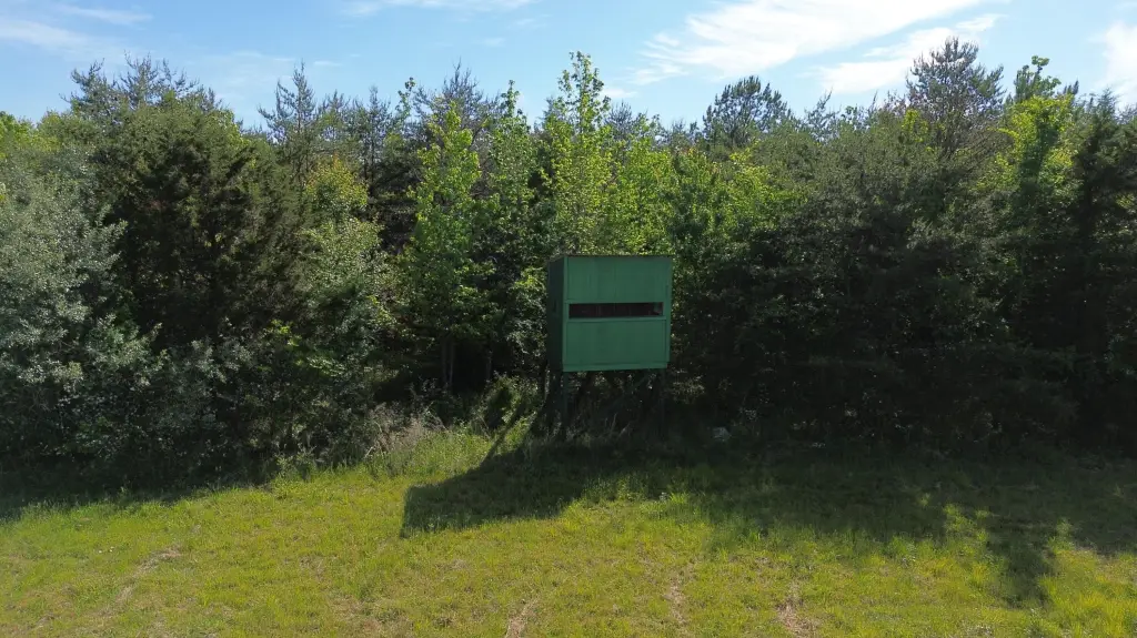 Picture 9