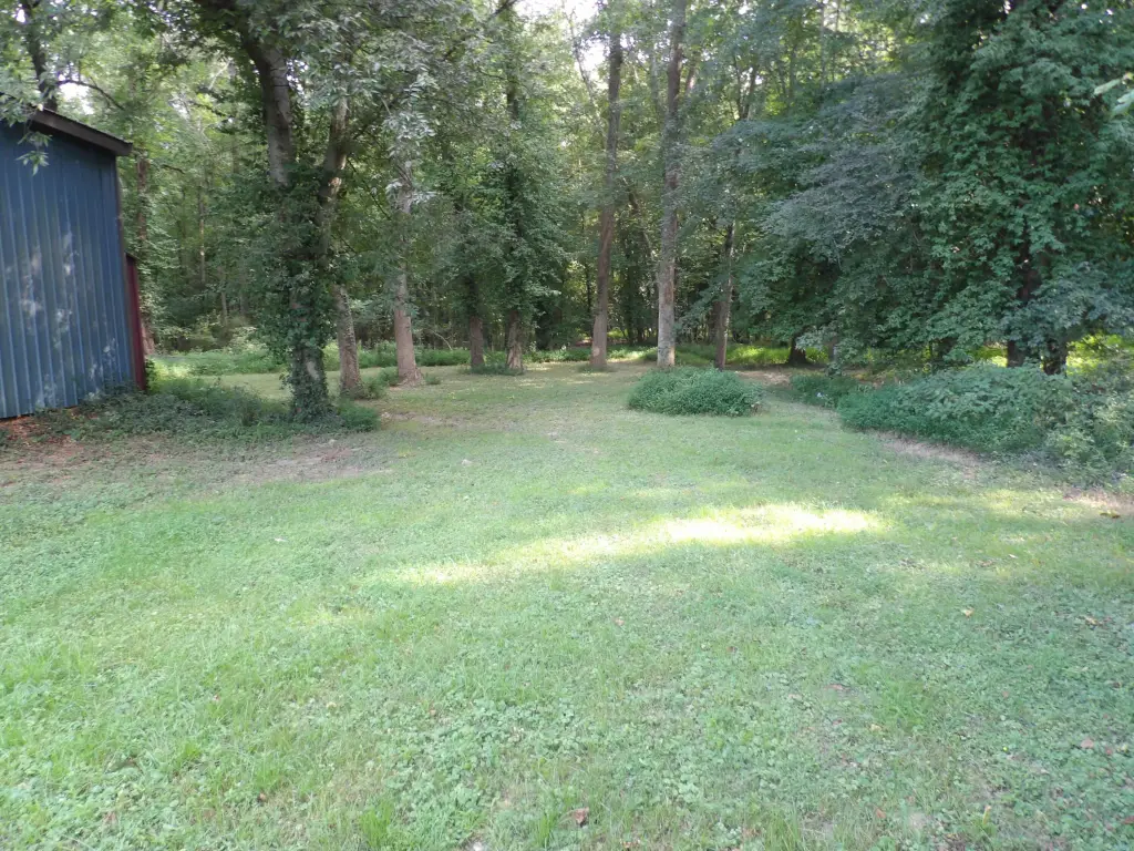 Picture 23