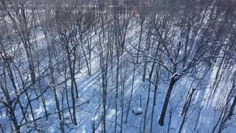 Undeveloped Land by Penobscot River