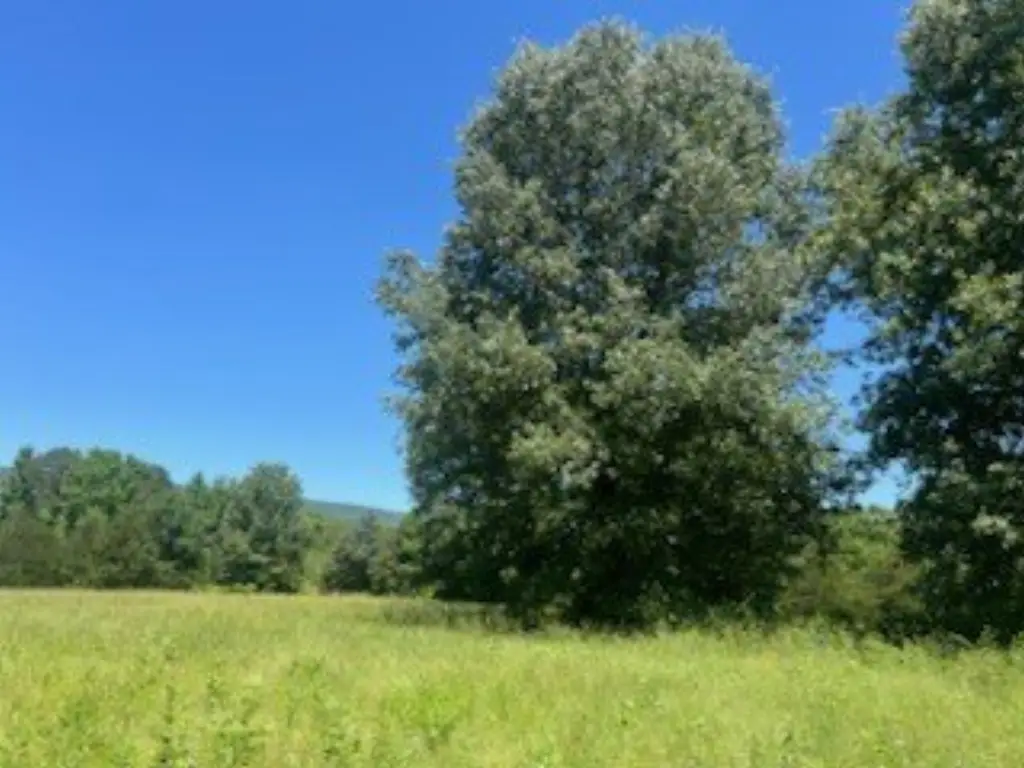 Picture 4