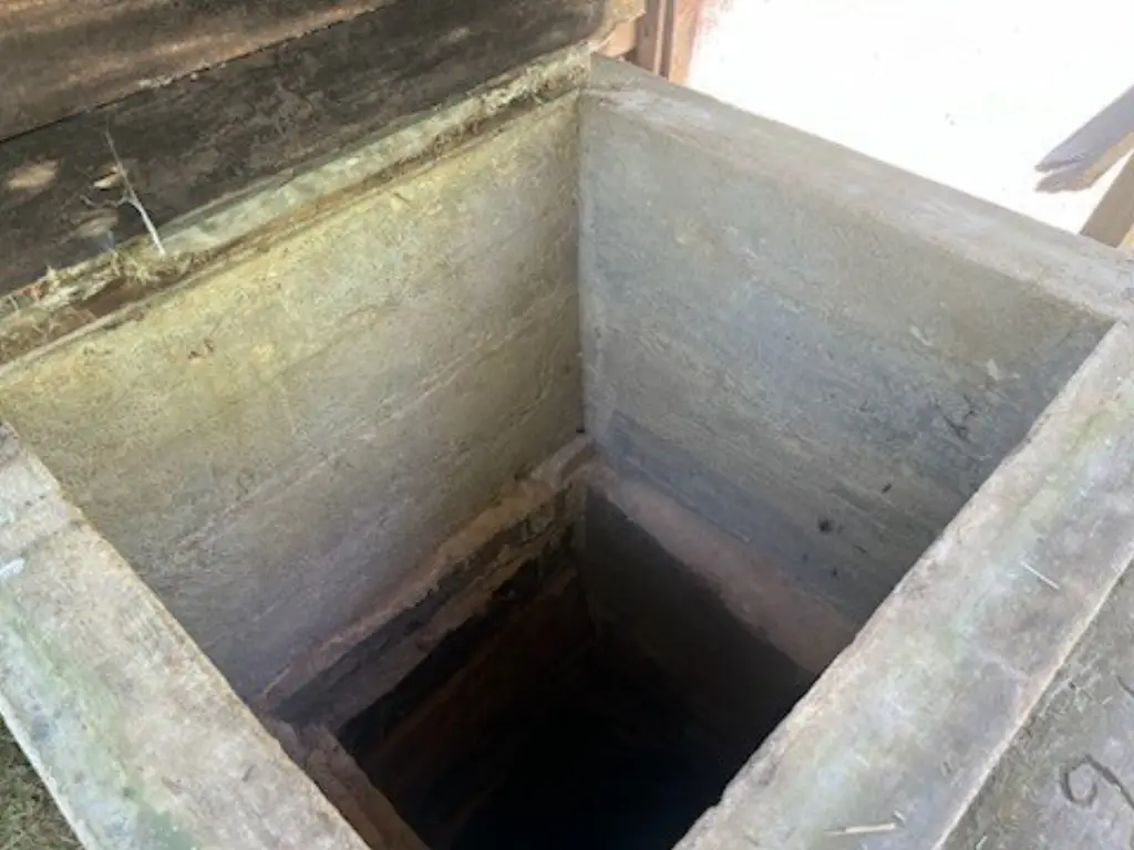 Picture 11