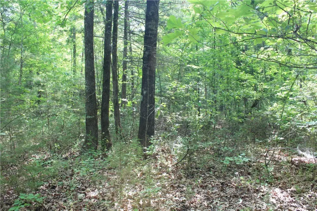 Picture 12