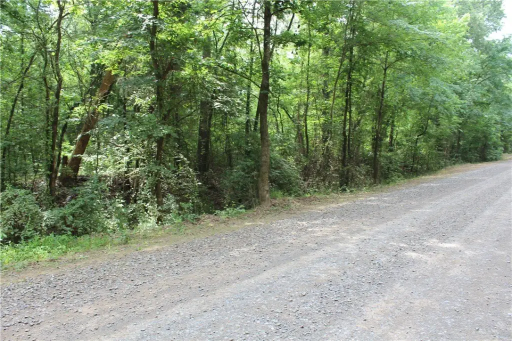 Picture 32