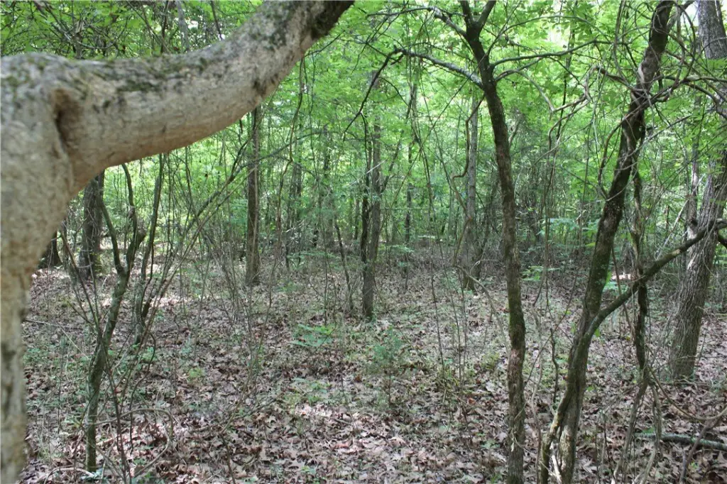 Picture 23