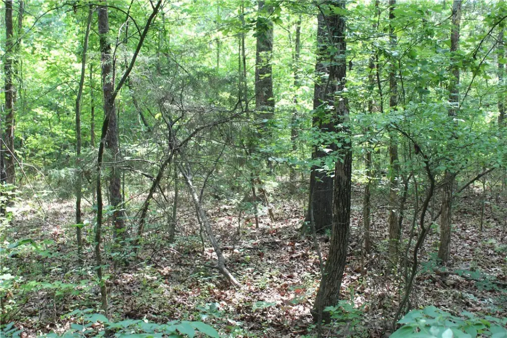 Picture 8