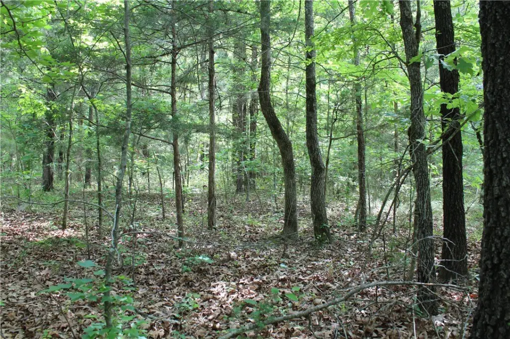 Picture 17