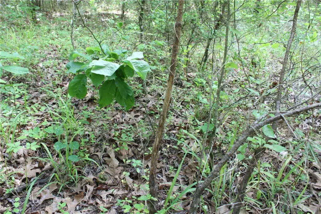 Picture 14