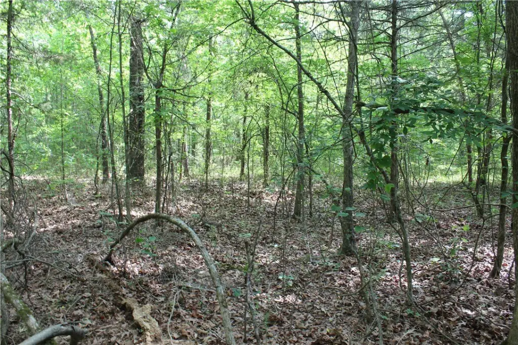Picture 28