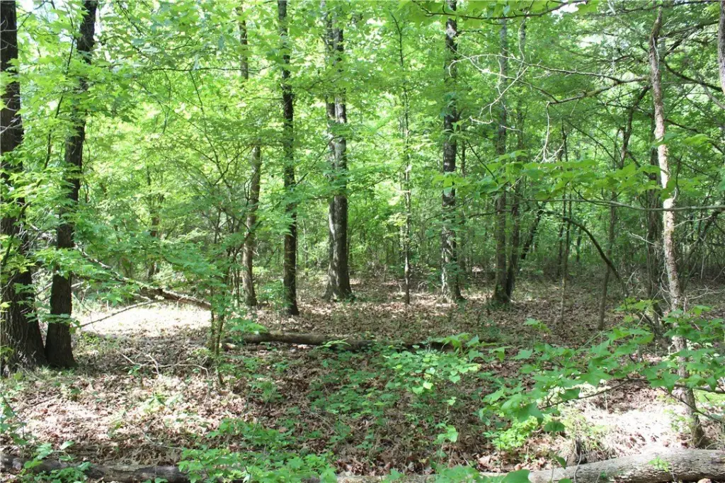 Picture 22