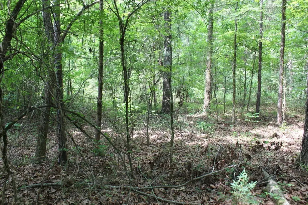 Picture 24
