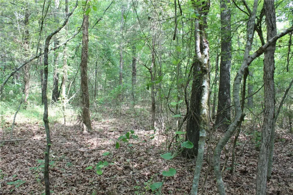 Picture 26