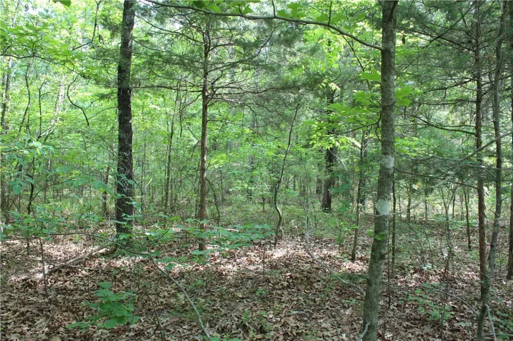 Picture 18