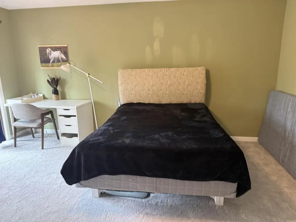 Picture 38