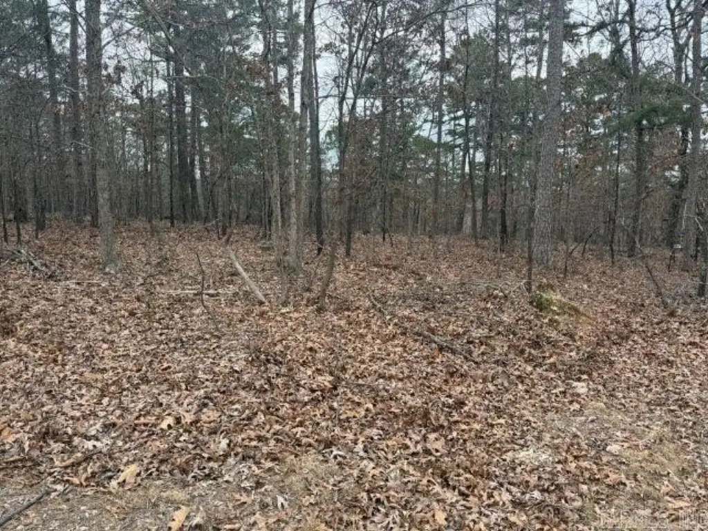 Picture 14