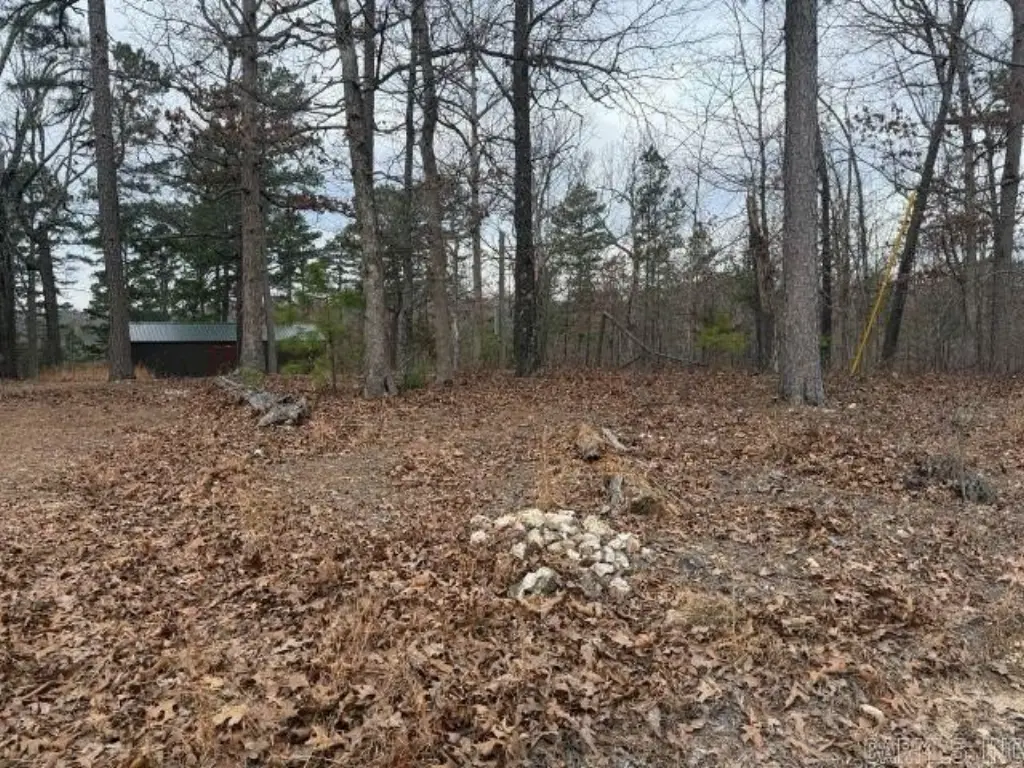Picture 4