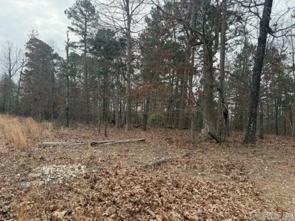 Picture 13