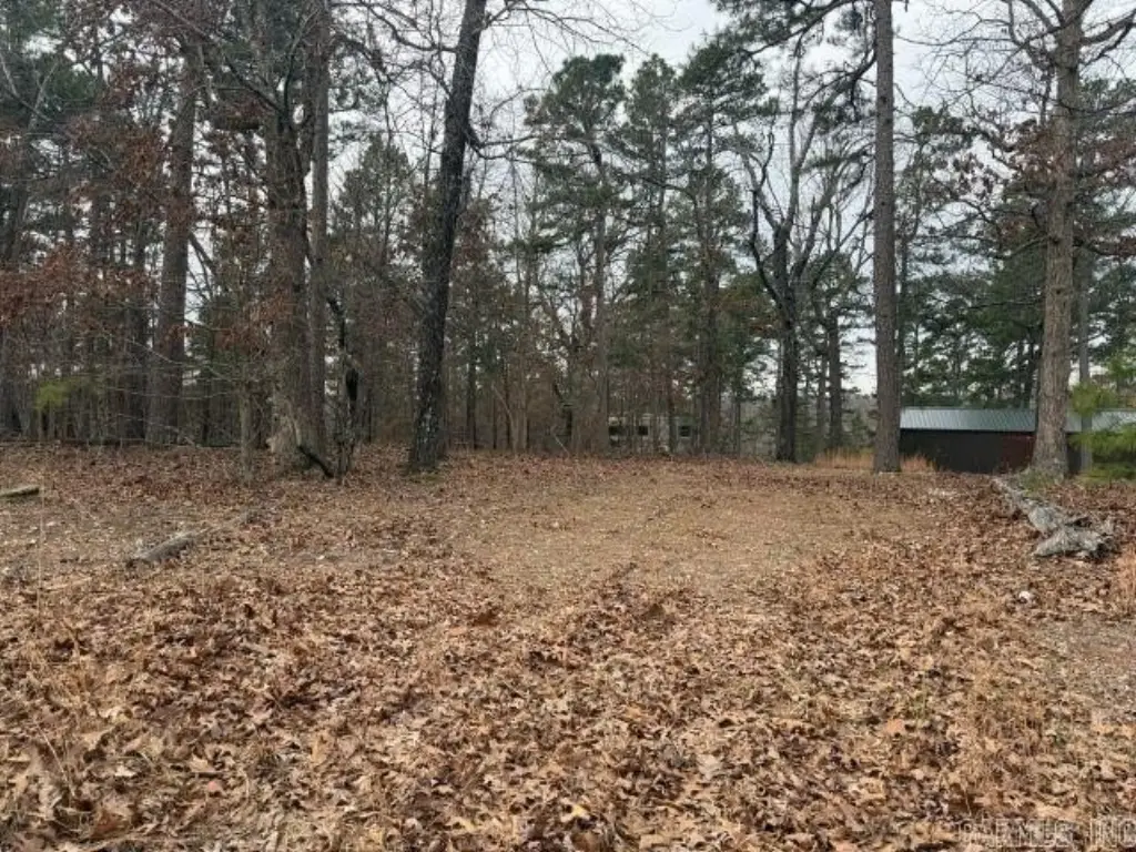Picture 3