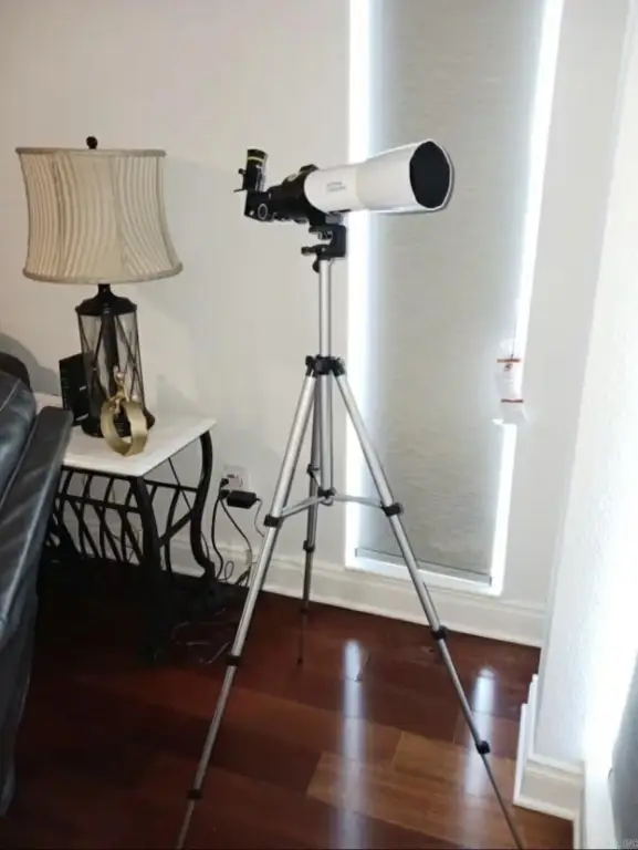 Picture 15