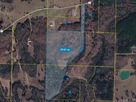 60 Acres with Creek Frontage