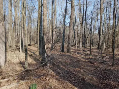 Wooded Lot in Jacksonville, AR