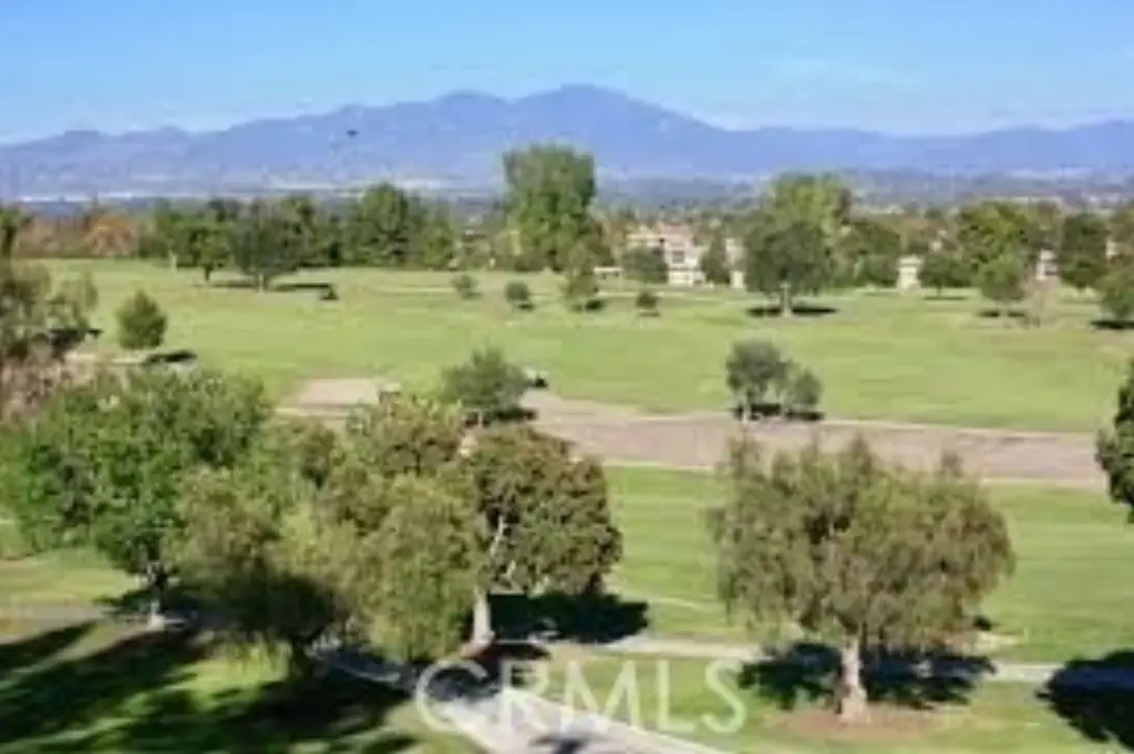 Picture 30