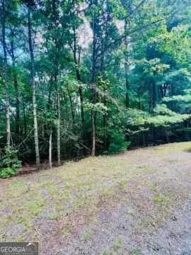 Ellijay Buildable Lot For Sale
