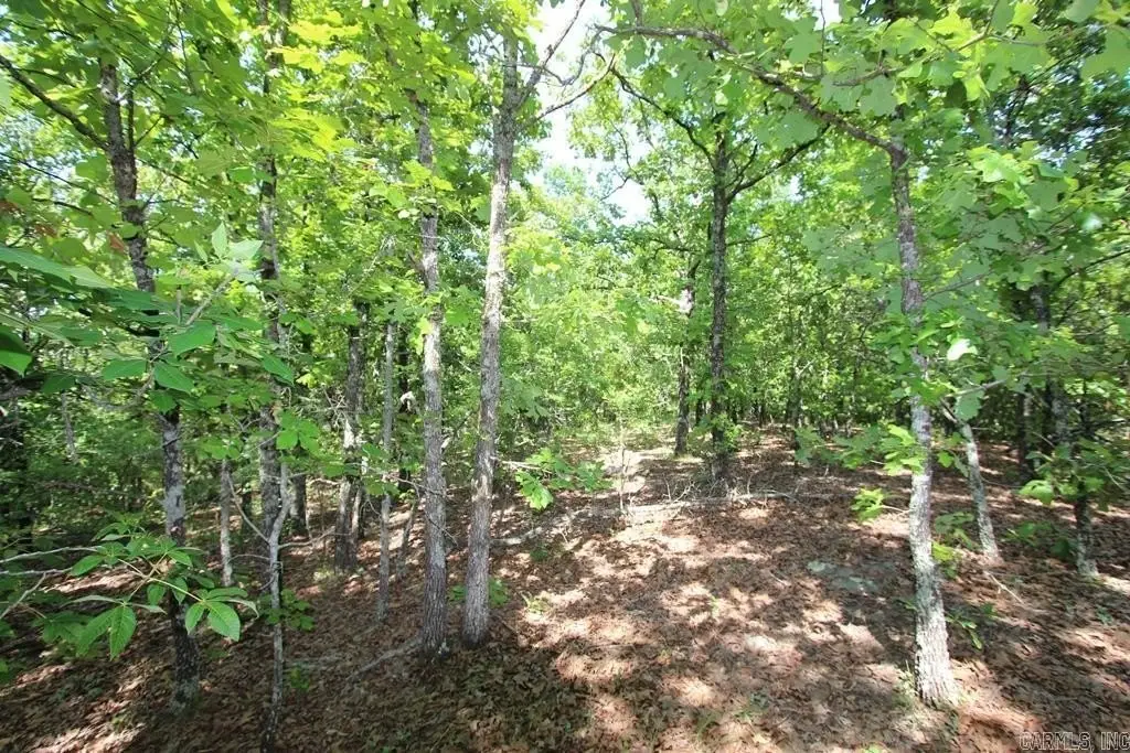 Picture 14