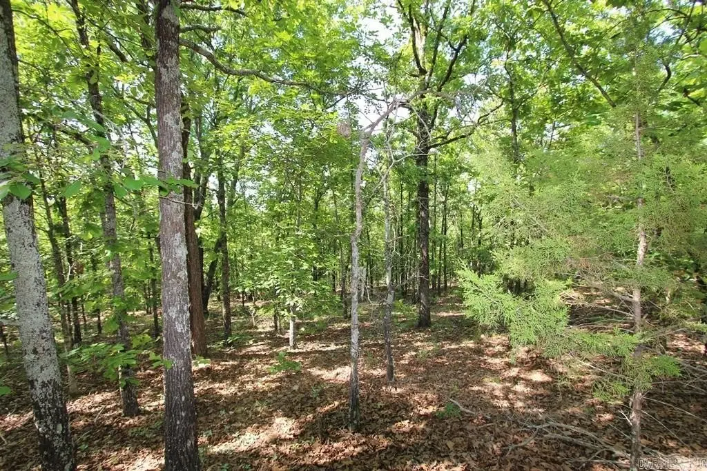 Picture 13