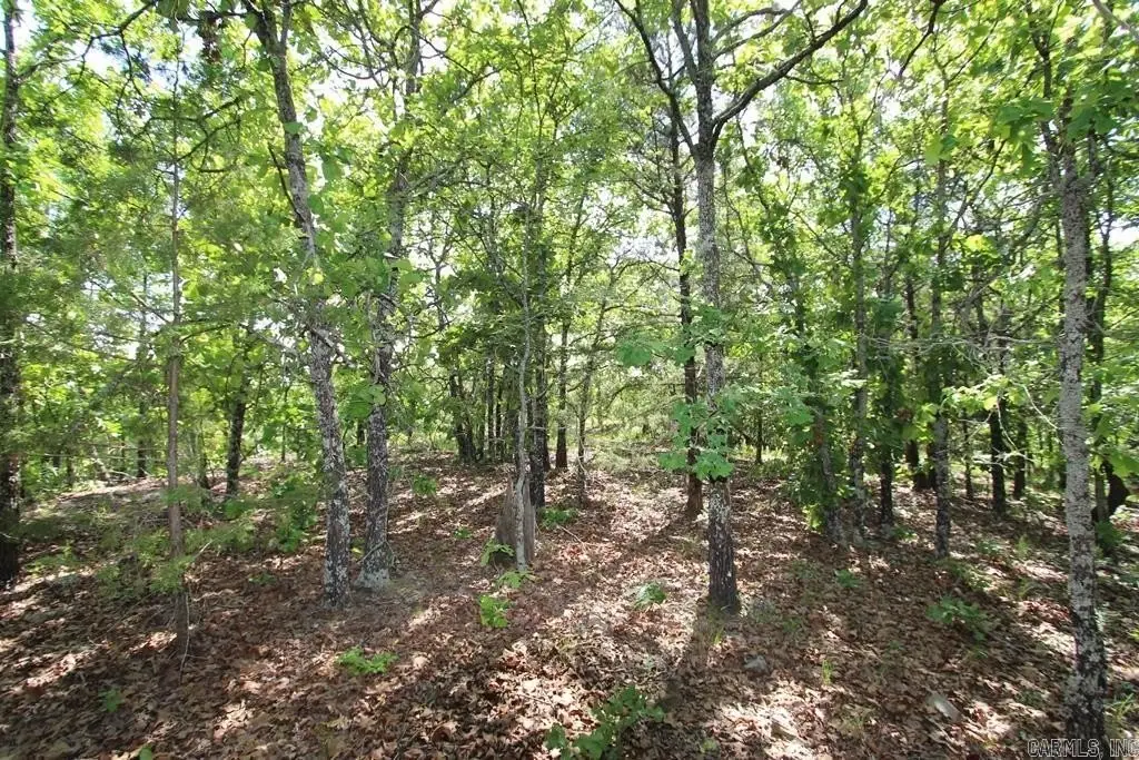 Picture 11
