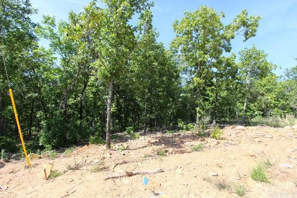 Picture 6