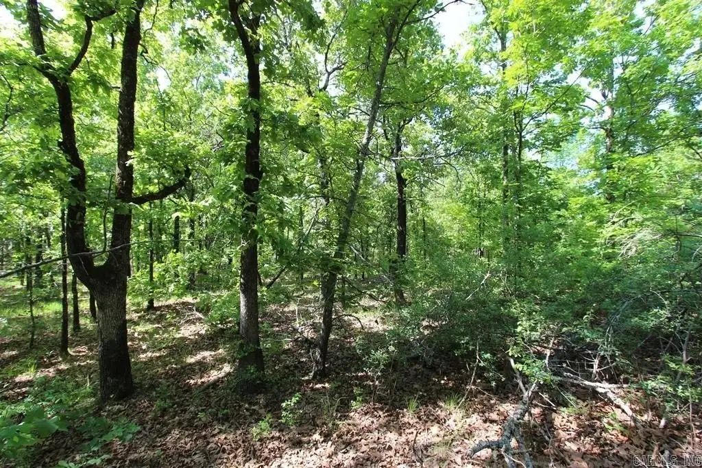 Picture 12