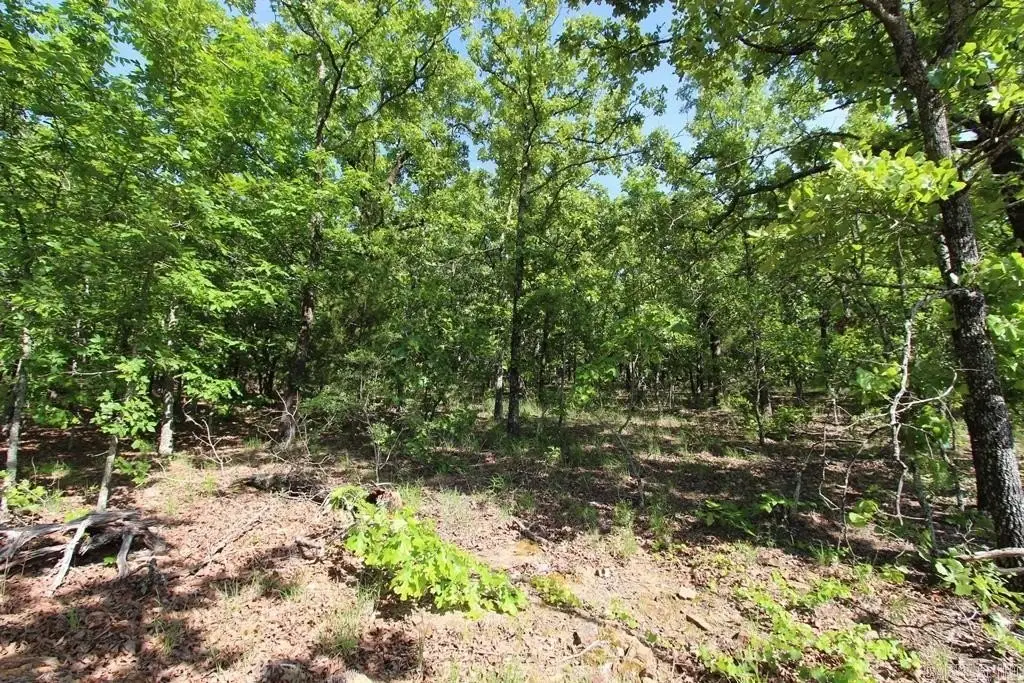 Picture 13