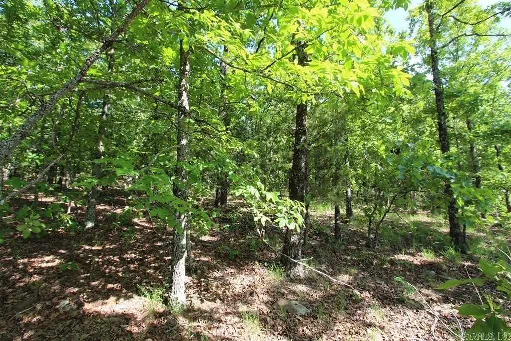 Picture 14